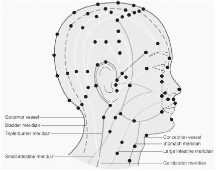 head acupunture pts