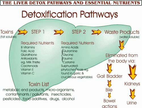 liver-detox1