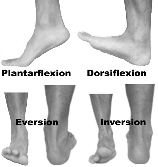movements-of-foot